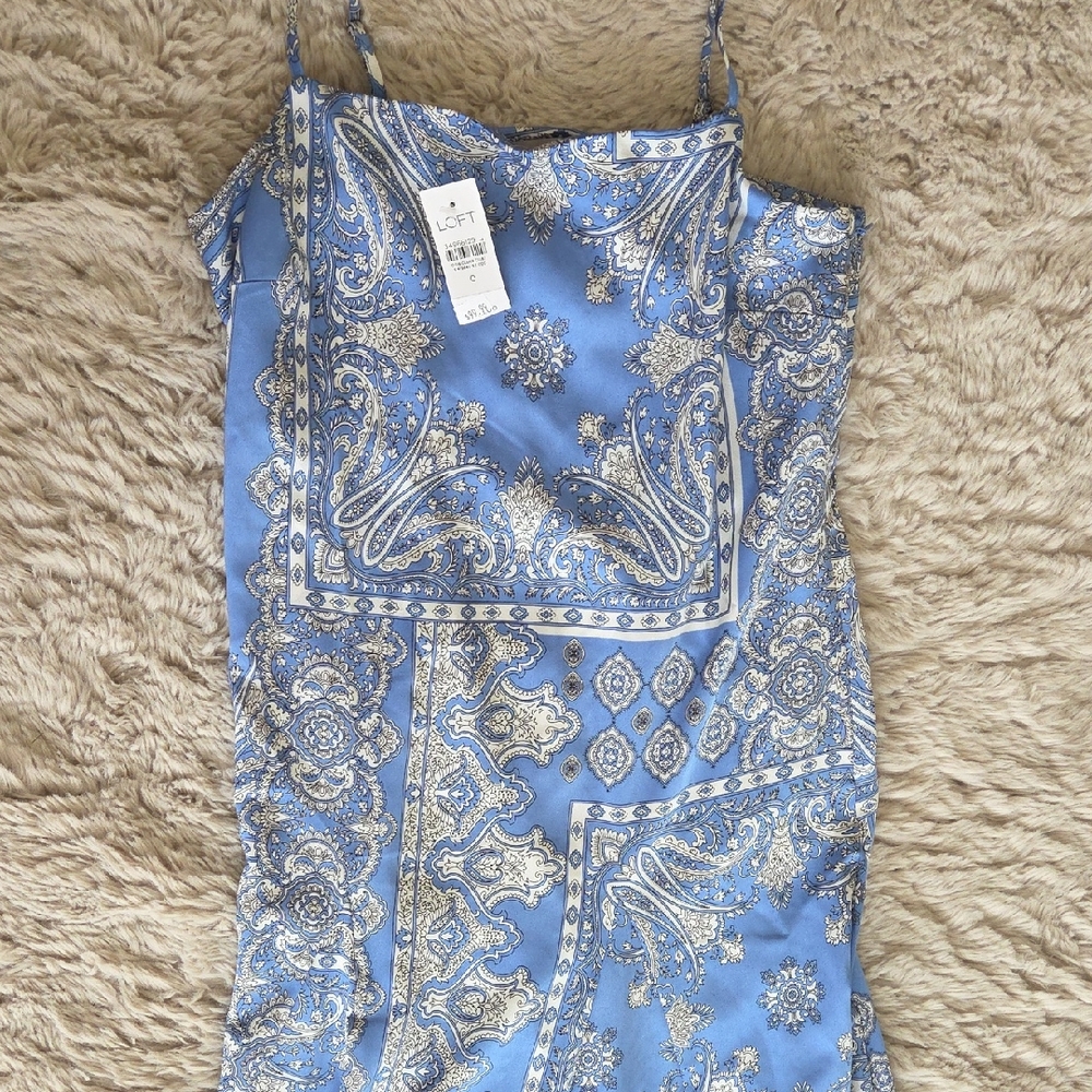 LOFT Blue and White Paisley Dress